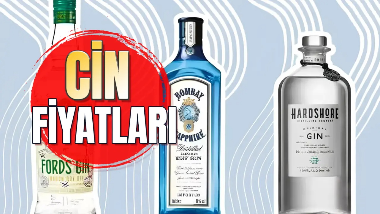 Cin Fiyatları 2025: Güncel Liste ve Marka Detayları