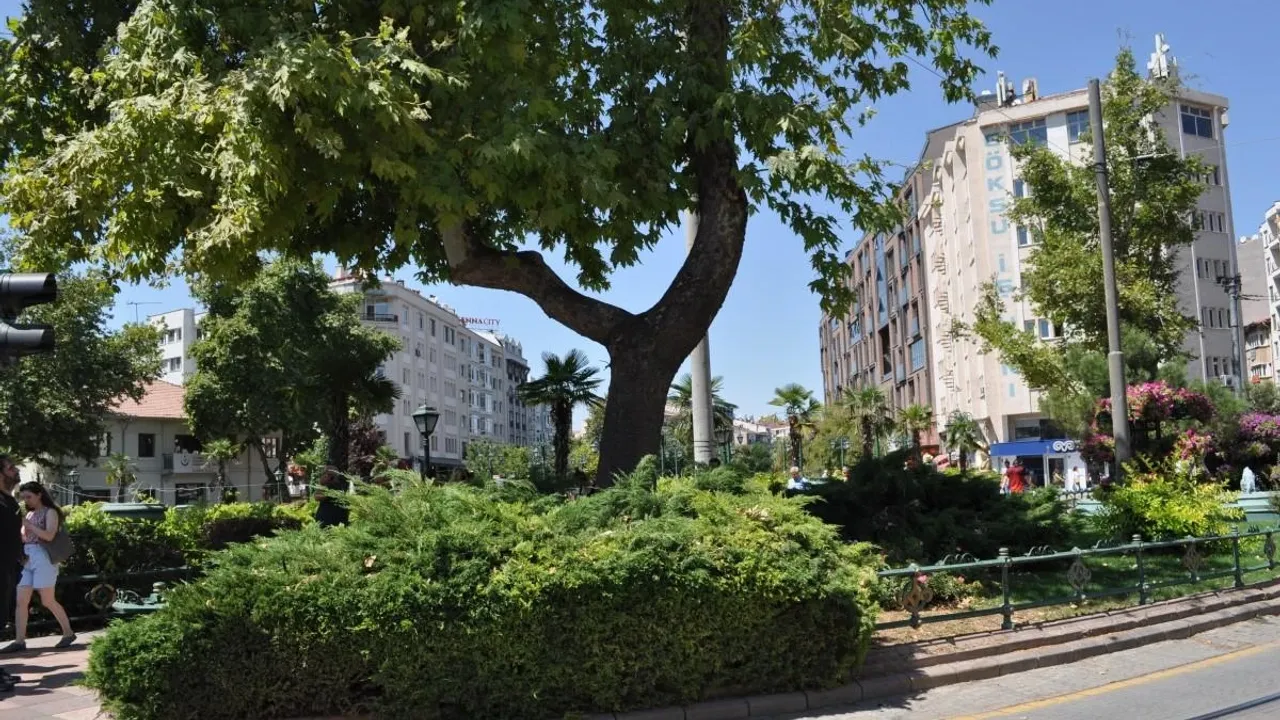 Eskişehir'de Dalı Enerji Tellerine Devrilen Ağaç Budandı