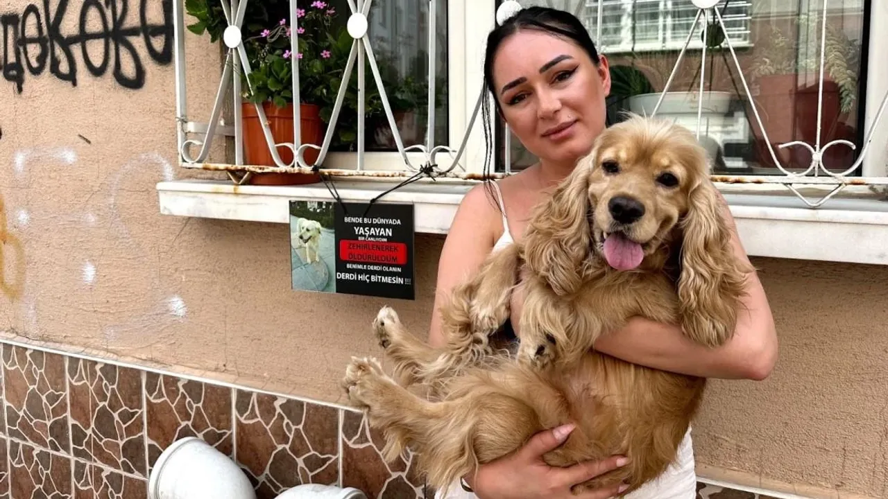 Eskişehir'de Hayvanseverleri Ayağa Kaldıran Olay!