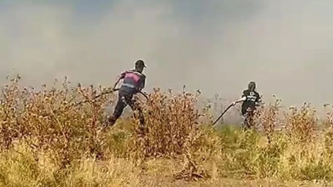 Eskişehir'de Ot Yangını Sıçramadan Söndürüldü