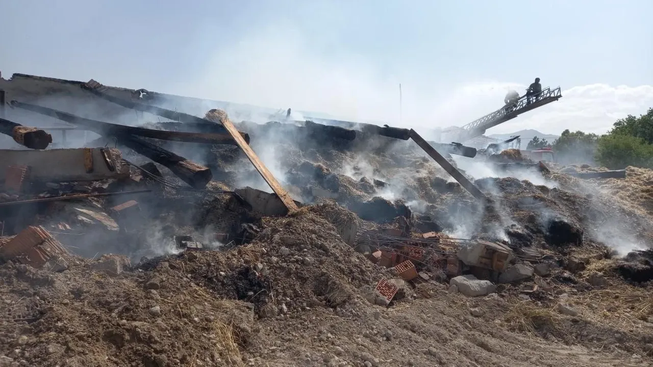 Eskişehir'de Çıkan Yangın il 5 Büyükbaş Hayvan Telef Oldu