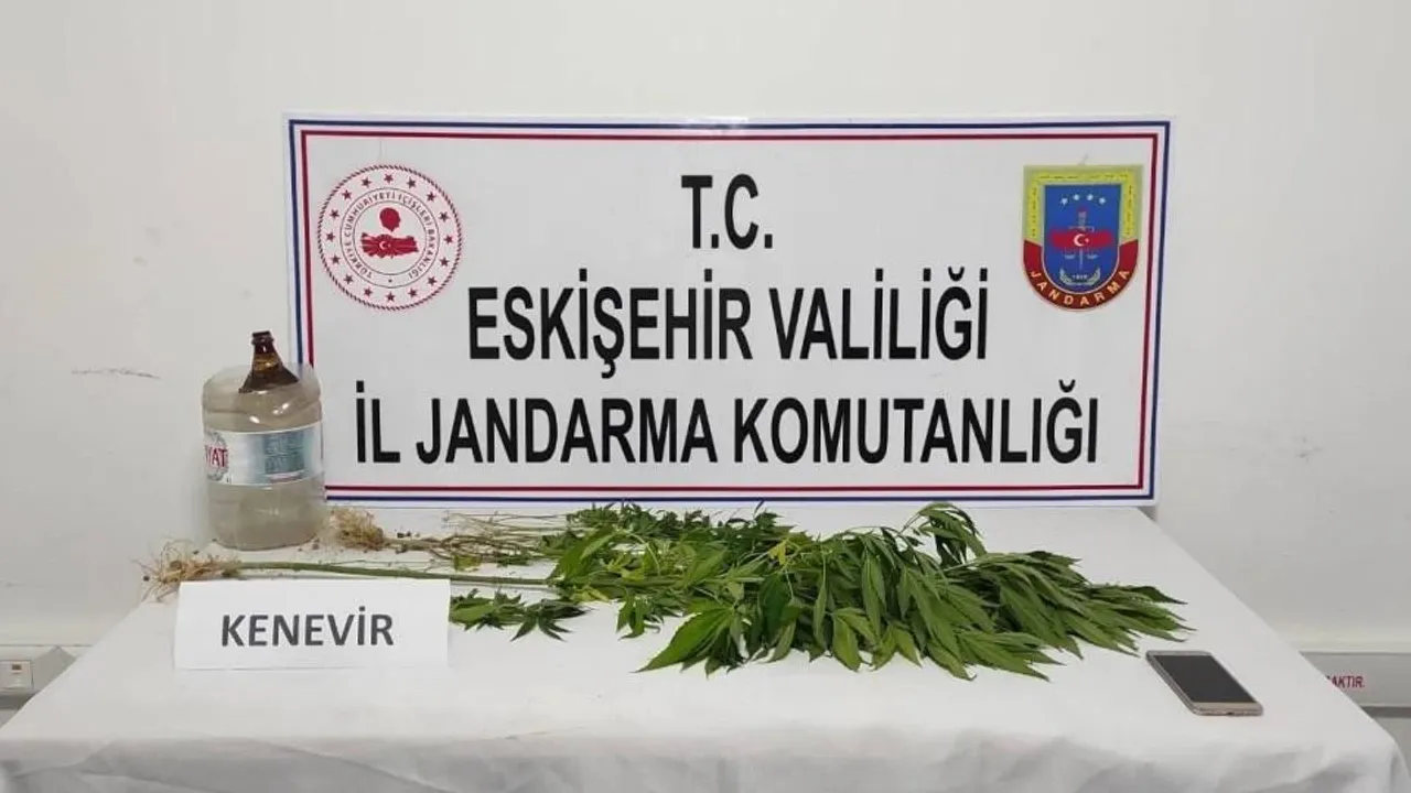 Eskişehir'de Mezarlığa Kenevir Eken Şahıs Yakalandı