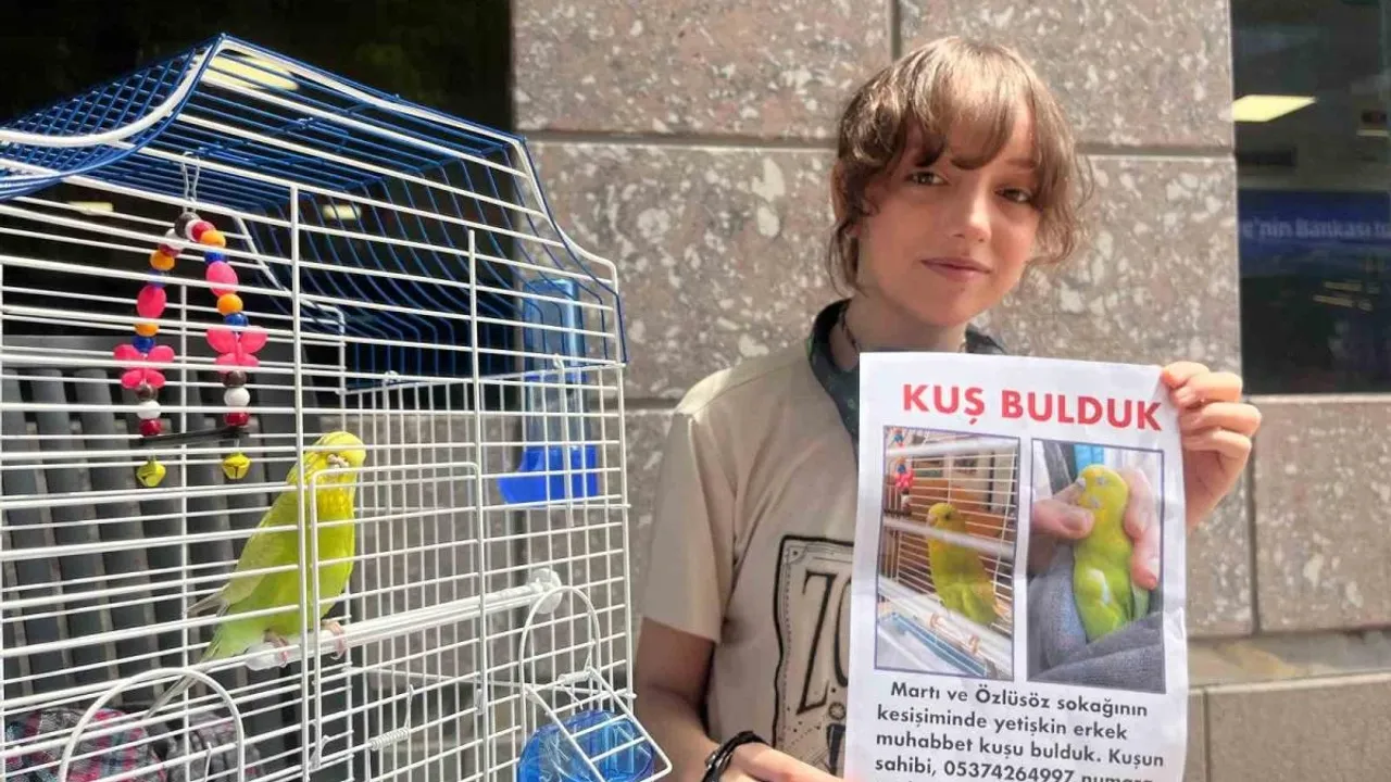 Sokakta bulduğu kuşun sahibini harçlıklarıyla bastırdığı ilanları asarak arıyor