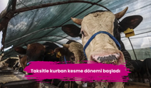 Taksitle kurban kesme dönemi başladı