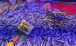 Sardalya Eskişehir’de Tezgahların Gözdesi Oldu