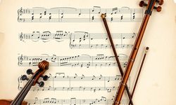 CapitaliZoo ne demek?