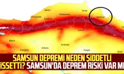 Samsun'un Vezirköprü ilçesinde 00.20'de 4.0 büyüklüğünde deprem meydana geldi.