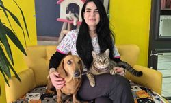 Sosi ile Patik’in Şaşırtan Dostluğu