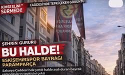 Sakarya Caddesi’nde Görenlerin İçini Sızlatan O Görüntü: Kimse Elini Sürmedi