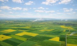 Alpu Ovası’nda Termik Santral Projesine Mahkemeden İptal Kararı