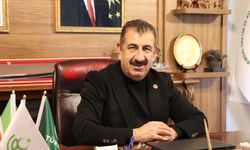 Bu Yöntem Orman Yangınlarını Sessizce Önleyebilir