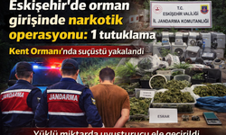 Eskişehir’de orman girişinde narkotik operasyonu: 1 tutuklama