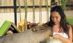 Erol Köse'nin kızı Dijan Nazlan Köse kimdir, kaç yaşında, ne iş yapıyor? Erol Köse'nin kızı kimdir?