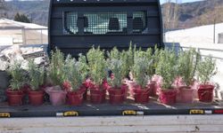 Eskişehir’de Öğrencilerden Duygusal Etkinlik Düzenlendi