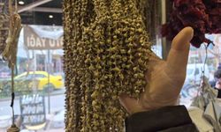 Eskişehir’de Kurutulmuş Bamya O Fiyattan Satılıyor!