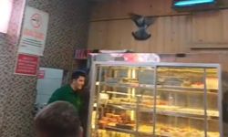 Eskişehir’de Lokantaya Giren Güvercin Panik Yarattı