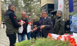 Eskişehirliler Kara Çam Fidanıyla Buluştu