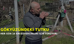 Gökyüzündeki tutku sınır tanımıyor: Eskişehirli güvercin sevdalısı her gün 16 kilometre yol kat ediyor