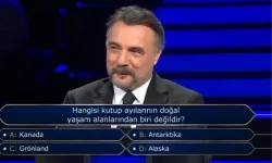 Hangisi kutup ayılarının doğal yaşam alanlarından biri değildir?