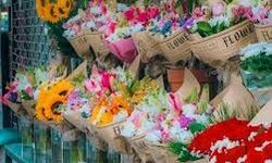 Kadınlar Günü Öncesi Çiçekçilerde Yoğunluk