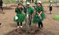 Orman Haftası Etkinlikleri O Tarihte Yapılacak, İşte Detaylar