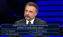 Sağlıklı bir insanın vücudunun tamamında yaklaşık ne kadar demir vardır?