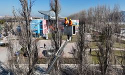 Sazova Parkı’nda Ağaç Gençleştirme Çalışması Sürüyor