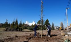 Sazova Parkı’nda Yeşil Dönüşüm Gerçekleştiriliyor