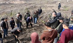 Seyitgazi’de Yanan Orman İçin Ağaçlandırma Başladı