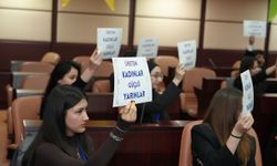 Üniversiteliler Belediye Meclisi Atmosferini Yaşadı