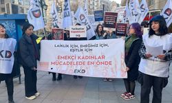 Emekçi Kadınlar Derneği’nden 8 Mart Çağrısı: “Mücadelede En Öndeyiz”