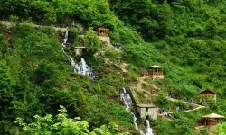 Zaruratı Hamse Ne Demek?