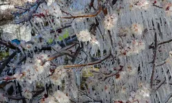 Eskişehir’de Ani Soğuk Darbesi: Üreticiler Geceyi Dondurucu Saatlere Karşı Dikkat!