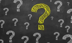 Persona Non Frata Nedir?