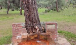 Eskişehir’de Doğal Maden Suyu Çeşmesine Yoğun İlgi