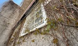 Eskişehir’de Sarmaşıklı Camii Yeniden Yeşermeye Başladı