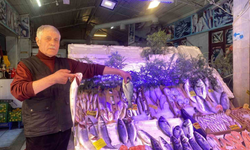 Balık Av Yasağı Başladı Fiyatlar Sabit Kaldı