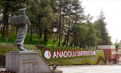 Anadolu’dan Dijital Hamleyle Dev Tasarruf