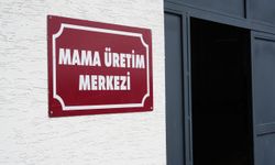 Atık Yemekler Sokak Hayvanlarına Mama Oluyor