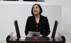 CHP’li Süllü: “Yok Etme Projesine Direniyoruz”