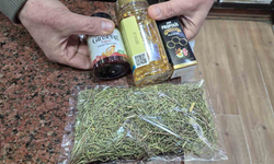 Dikkat Dağınıklığına Bitkisel Çözüm