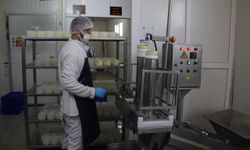 Eskişehir’de Halk Süt Üretimi Rekor Kırdı