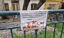 Eskişehir'de Hayvanseverlerin O Yazısı Dikkat Çekti