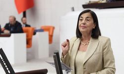 Kalburcu Ormanı İhalesine Tepkiler Yükseldi