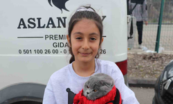 Minik Taraftar Kedisiyle Tribünde