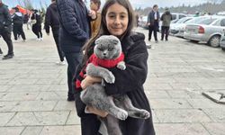 Minik Taraftar Kedisiyle Tribünde İlgi Odağı Oldu