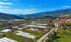 Sarıcakaya Altın Madenine Mahkemeden İptal