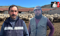 Üretici Zararda: Maliyetler Katlandı, Et Yerinde Saydı