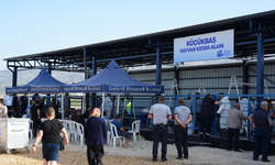 Bayramda Kesim Hizmeti İçin Hazırlık Tamamlandı