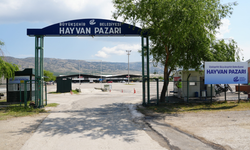 Büyükşehir Hayvan Pazarı Yer Satışı Başladı